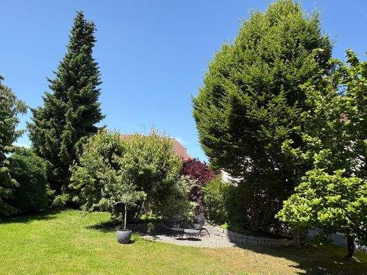 Blick in den Garten