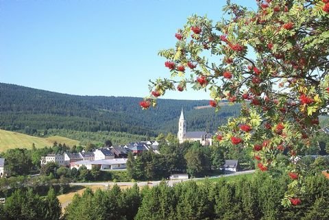 Oberwiesenthal Wohnungen, Oberwiesenthal Wohnung mieten