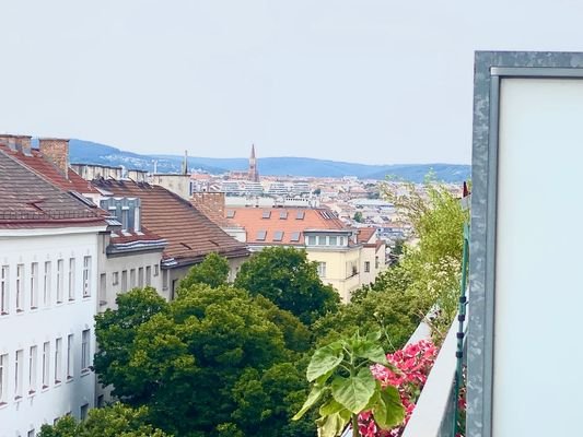 Blick in den Wienerwald