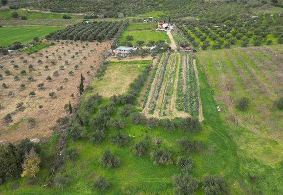 Kreta, Agies Paraskies: Großes Grundstück zu verkaufen