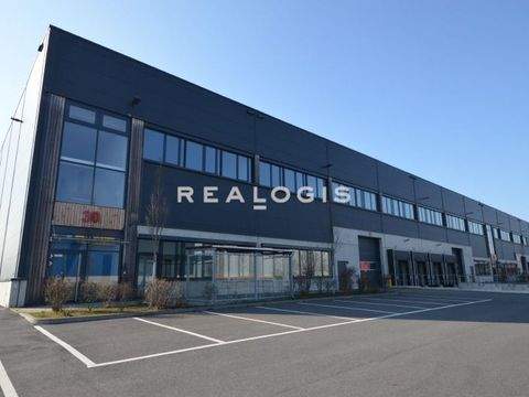 Berlin Halle, Berlin Hallenfläche