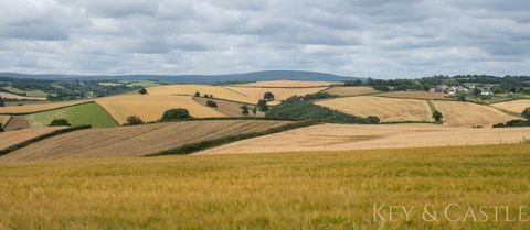 Schwarzenbach an der Saale Bauernhöfe, Landwirtschaft, Schwarzenbach an der Saale Forstwirtschaft