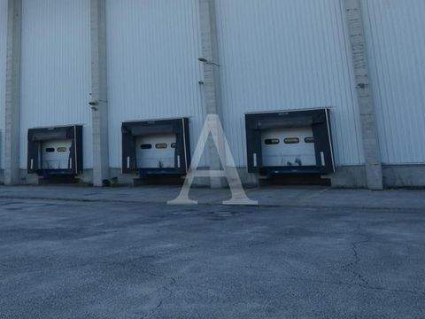 Duisburg Halle, Duisburg Hallenfläche