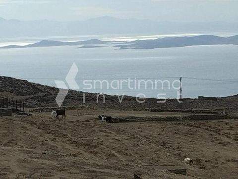 Kampos, Tinos Bauernhöfe, Landwirtschaft, Kampos, Tinos Forstwirtschaft