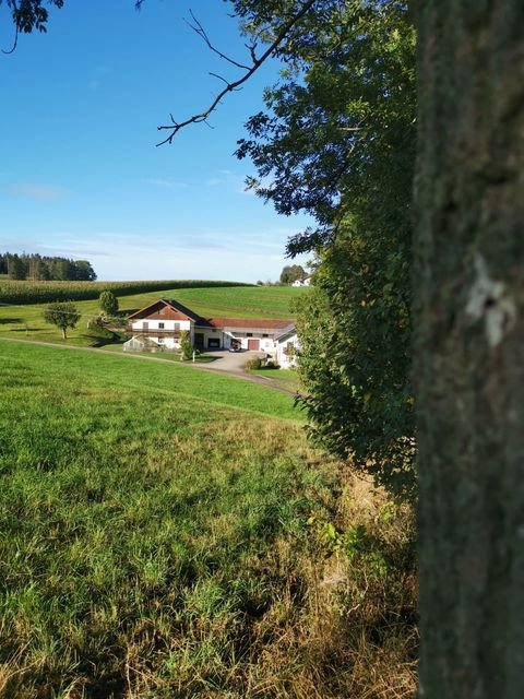 Dorfen Bauernhöfe, Landwirtschaft, Dorfen Forstwirtschaft