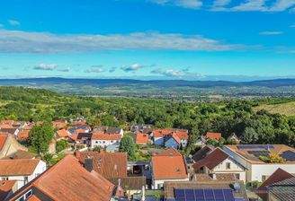 Aussicht in den Rheingau