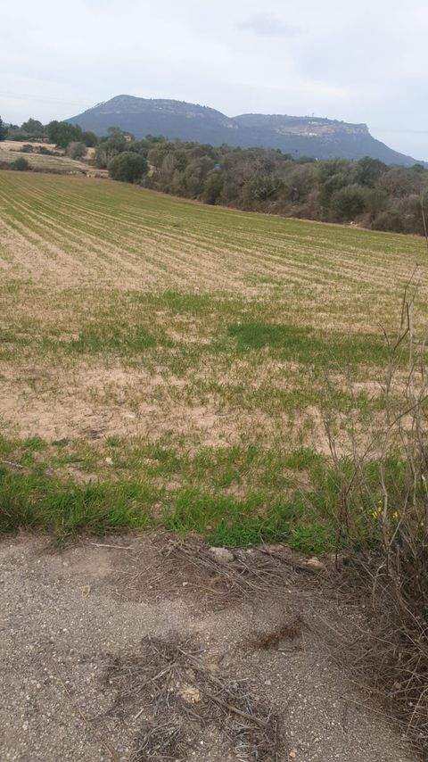 Llucmajor Grundstücke, Llucmajor Grundstück kaufen