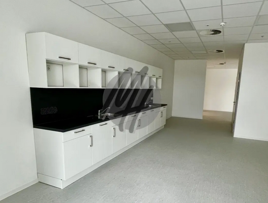 INFOS UNTER: 06171-586000