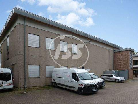 Einbeck Halle, Einbeck Hallenfläche