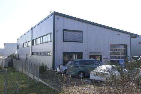 Seevetal Halle, Seevetal Hallenfläche
