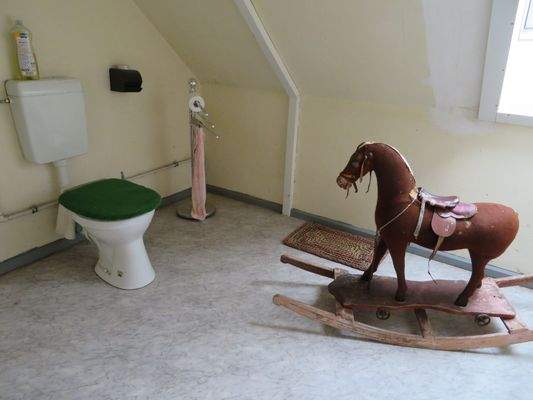 WC mit Pferd Dachgeschoss