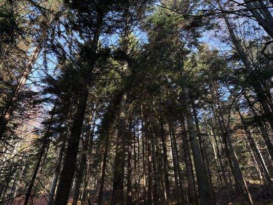 2025-11-05 10.18.31.jpg