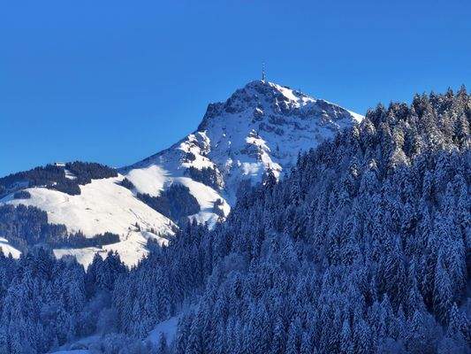 DJI_20240111141323_0434_D