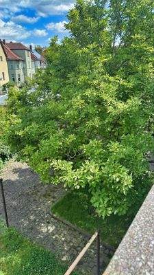 Blick vom Balkon in WE im OG