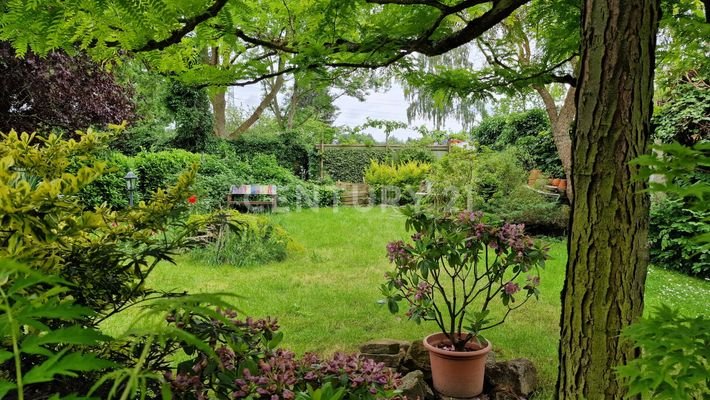 Blick in den Garten