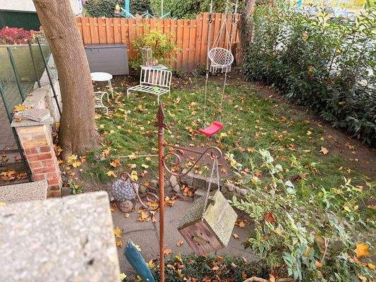 Blick in den Garten 