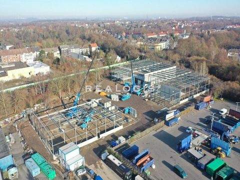 Essen Halle, Essen Hallenfläche