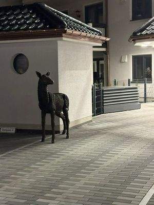 Hubertushof bei Nacht