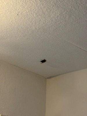 WhatsApp Image 2025-12-12 at 17.33.51 (5)