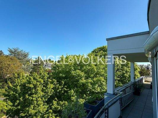 Grüne Aussicht von der Terrasse im Sommer