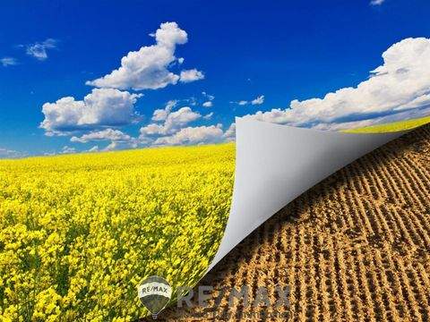 Himberg Bauernhöfe, Landwirtschaft, Himberg Forstwirtschaft