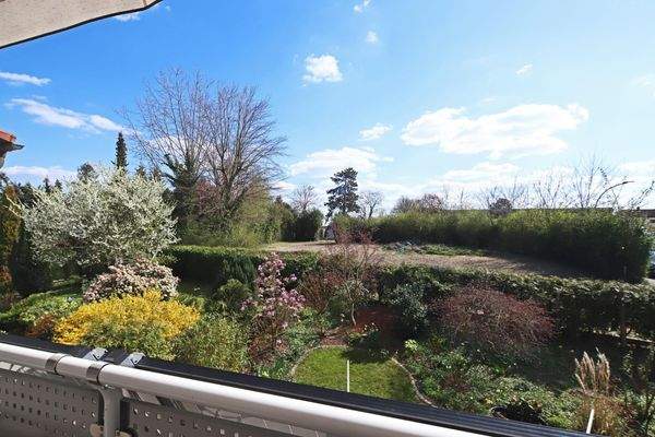 Blick in den Garten Wohnung