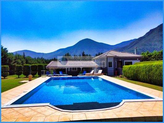 409c258654e84b7f910f24e94c402cae-original