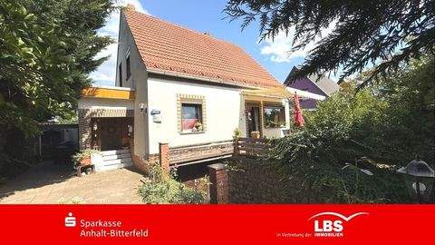 Osternienburger Land Häuser, Osternienburger Land Haus kaufen