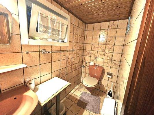 Dusche WC Gästbereich im UG HS 2.jpg