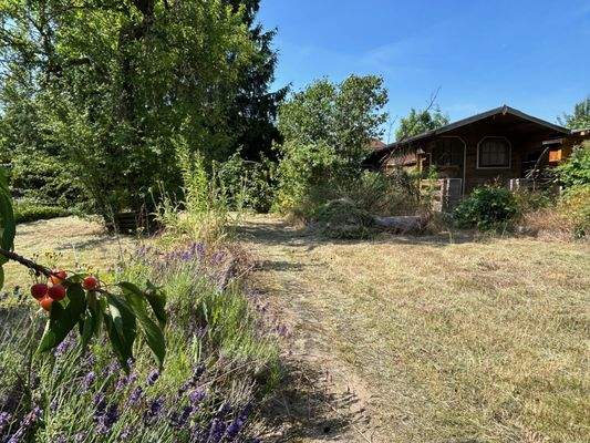 hinterer Garten mit Gartenhaus