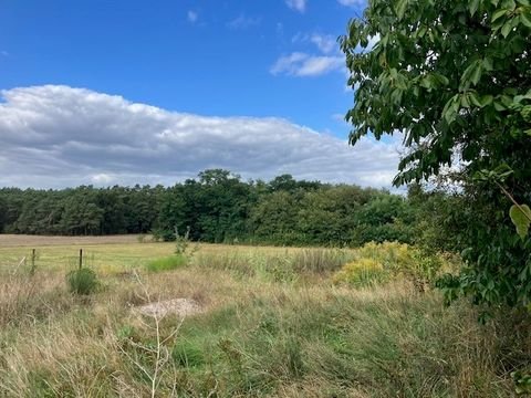 Bad Saarow Häuser, Bad Saarow Haus kaufen