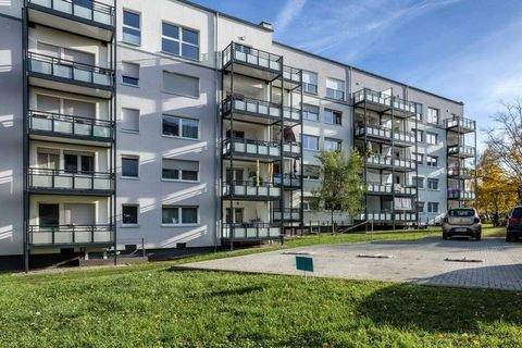 Mainz Wohnungen, Mainz Wohnung mieten