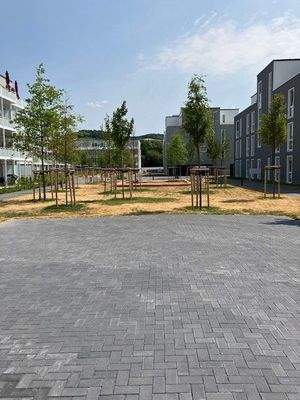 Blick in die Außenanlage der Wohnanlage