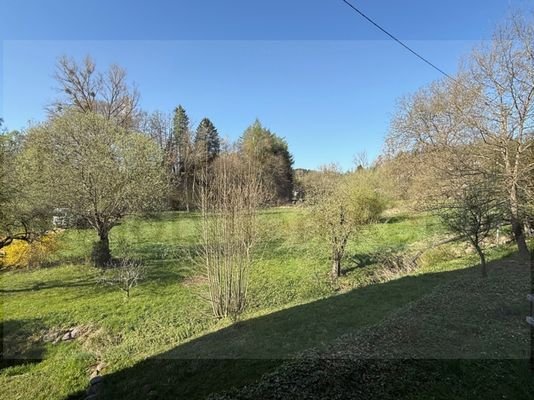 Blick ins eigene Grün