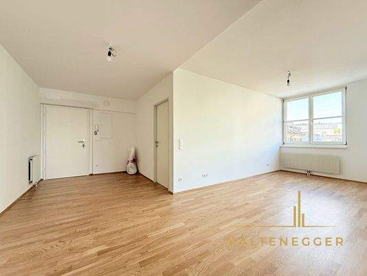 Vorraum verbunden mit Wohnzimmer bzw. Küchenbereich