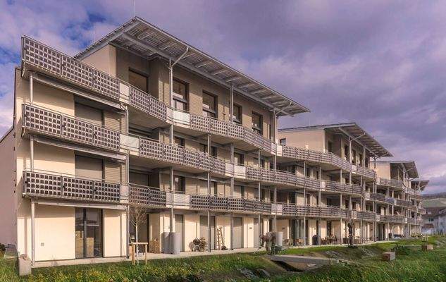 Klimahäuser Gartenseite