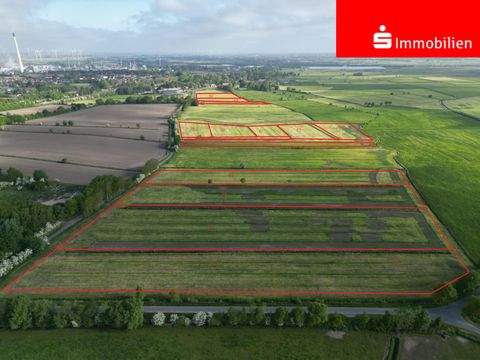 Hemmingstedt Bauernhöfe, Landwirtschaft, Hemmingstedt Forstwirtschaft
