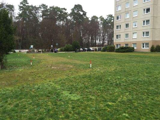 Grünflächen hinter den Haus 