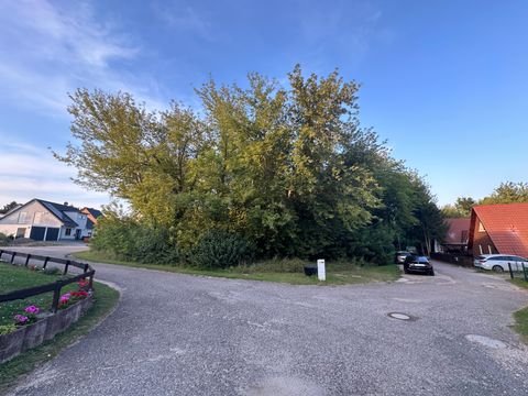 Hohenmölsen Grundstücke, Hohenmölsen Grundstück kaufen