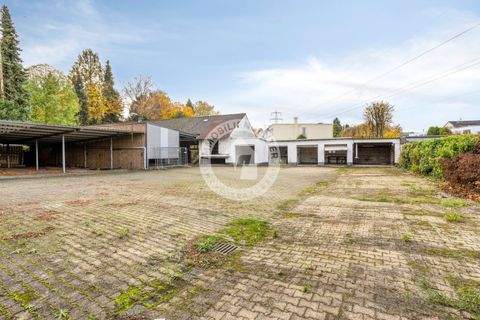 Dortmund Halle, Dortmund Hallenfläche