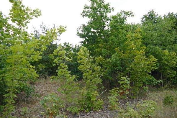 Bauland           .jpeg