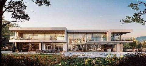 Dully Häuser, Dully Haus kaufen