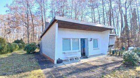 Dobin am See Häuser, Dobin am See Haus kaufen