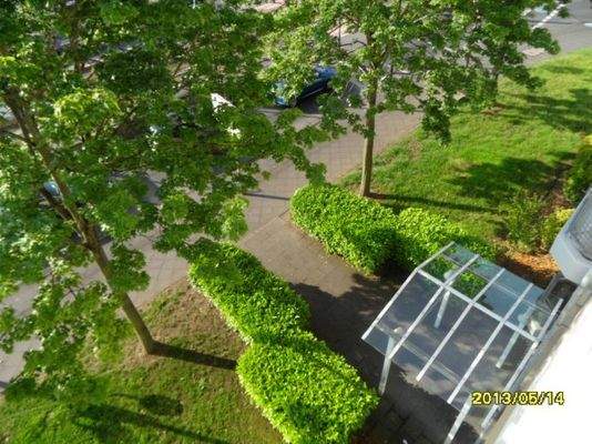 Aussenanlage zur Strasse