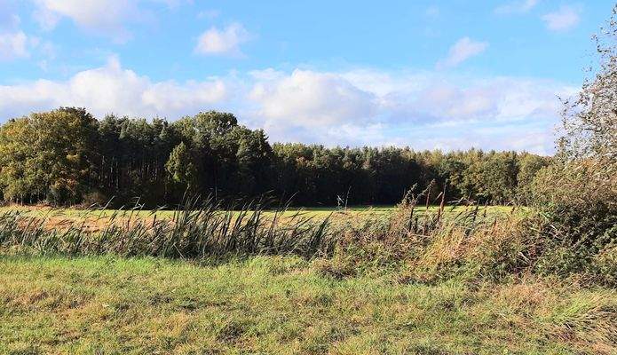 Sommer in Oberreichenbach