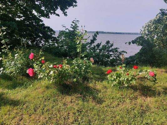 Blick vom Grundstück