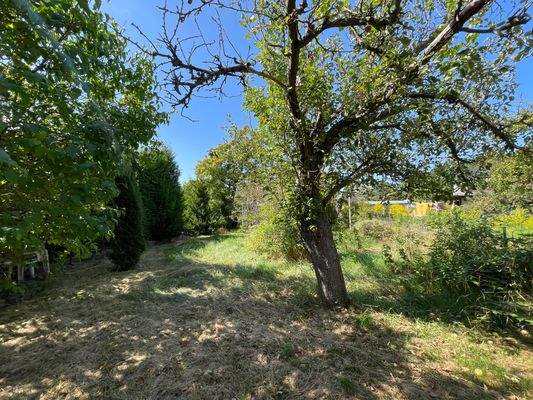 Blick ins Grundstück