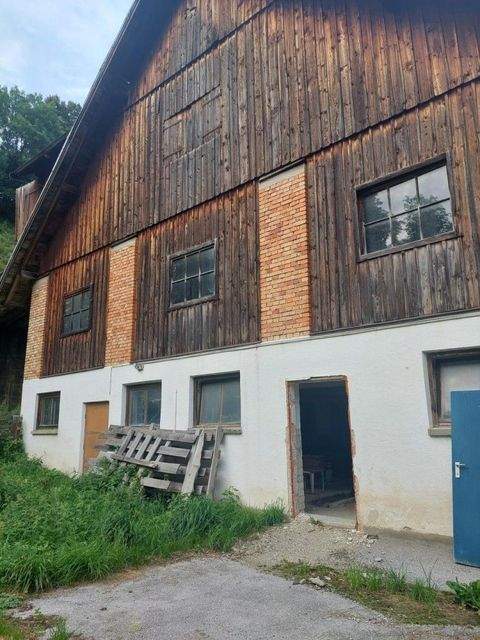 Schladming Halle, Schladming Hallenfläche