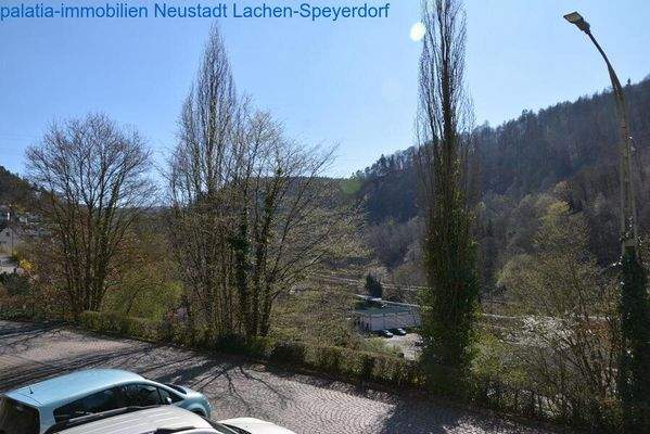 Bild 66