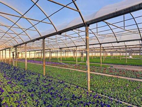 Kempen Bauernhöfe, Landwirtschaft, Kempen Forstwirtschaft